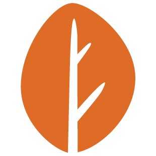 funplayclick.com favicon